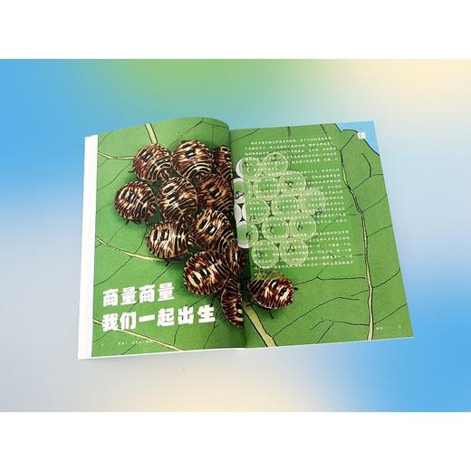 厉害了,动物们.探索 商品图2