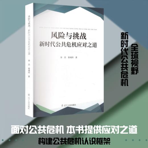风险与挑战:新时代公共危机应对之道 商品图0