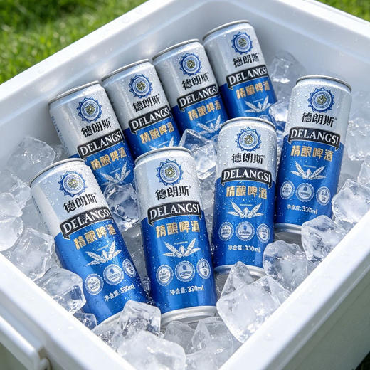 德朗斯12.1度精酿啤酒 330ml*24罐/箱 商品图7