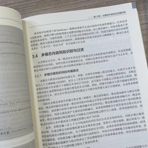 实战大模型安全:从对齐技术到系统治理 商品图3