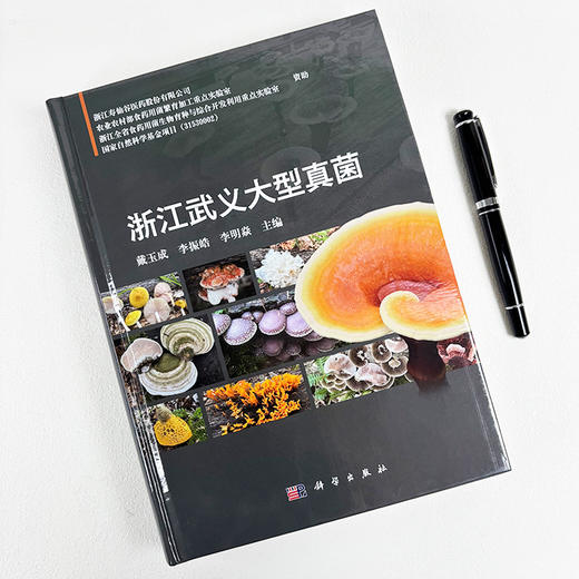 浙江武义大型真菌 商品图1