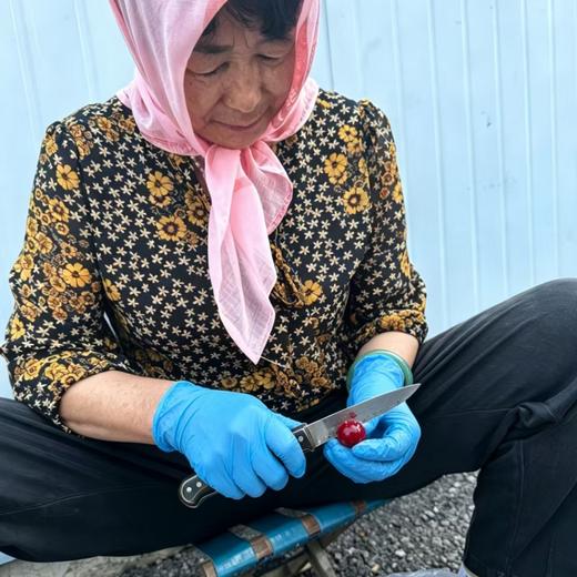 【下单即送清水粽❗】樱桃罐头 | 传统工艺制作，当天采摘新鲜树上全熟樱桃，颗颗手工清洗去核，慢火熬煮，0防腐剂 ⭐️顺丰陆运 商品图1