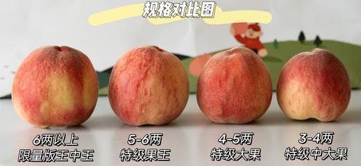 【预售】【果期超短❗️❗️】极客水蜜桃（早霞水蜜桃/毛蟠桃） | 软硬两吃，软后爆汁，桃香十足，到货后先挑软的吃，轻微磕碰，氧化变色不影响食用，成熟度高，会出现糖化现象，介意慎拍⭐️顺丰空运 商品图7