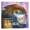 梵净山的蓝脸猴王 商品缩略图0