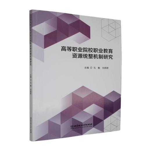 高等职业院校职业教育资源统整机制研究 商品图0
