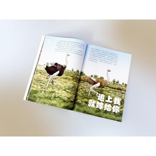 厉害了,动物们.繁衍 商品图4