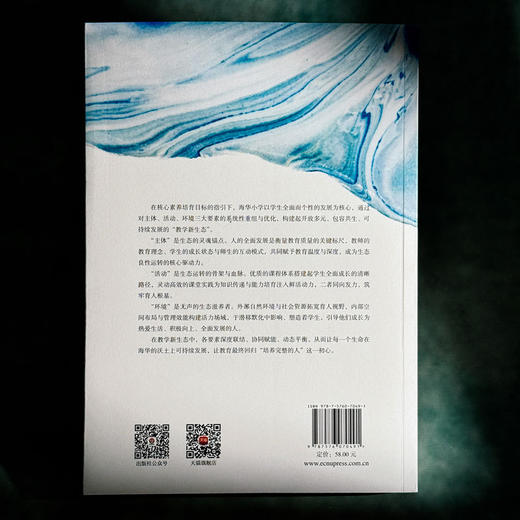 教学新生态:统整背景下海华教育实践的创新探索 商品图3