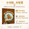 洞洞里的小方脸 商品缩略图0