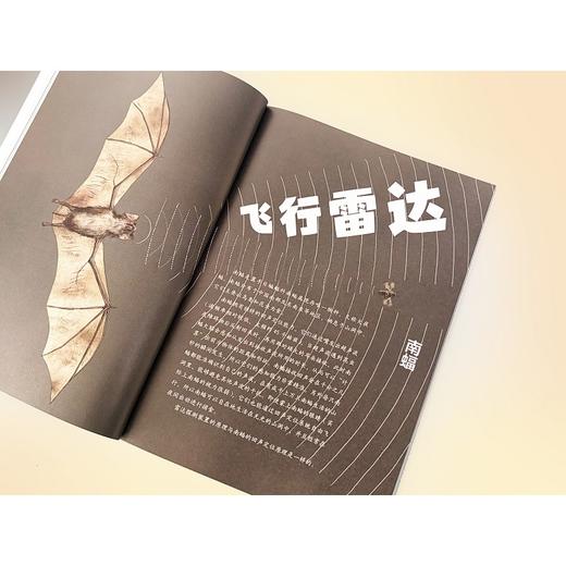 厉害了,动物们.探索 商品图3