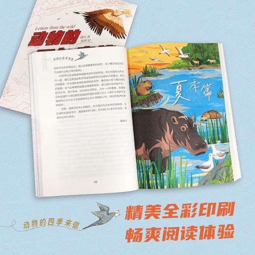动物的四季来信 商品图4
