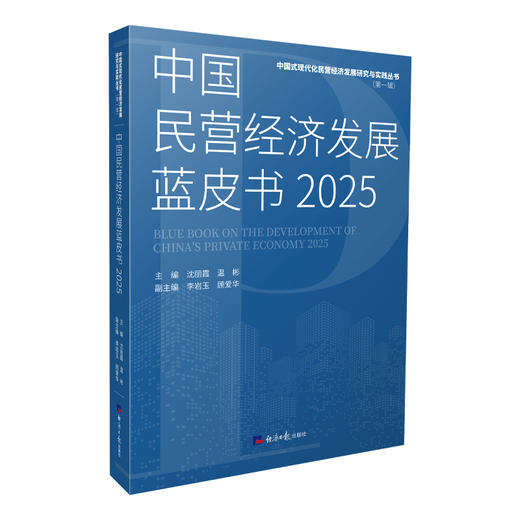 中国民营经济发展蓝皮书.2025 商品图0