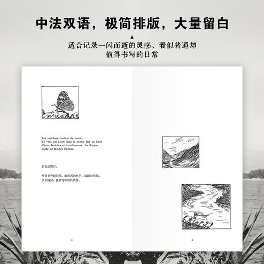 滚石落下之前 商品图2