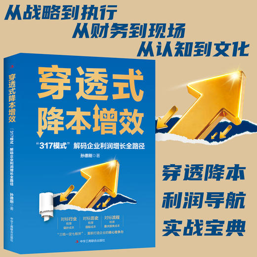 穿透式降本增效:317模式解码企业利润增长全路径 商品图0
