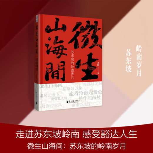 微生山海间:苏东坡的岭南岁月 商品图0