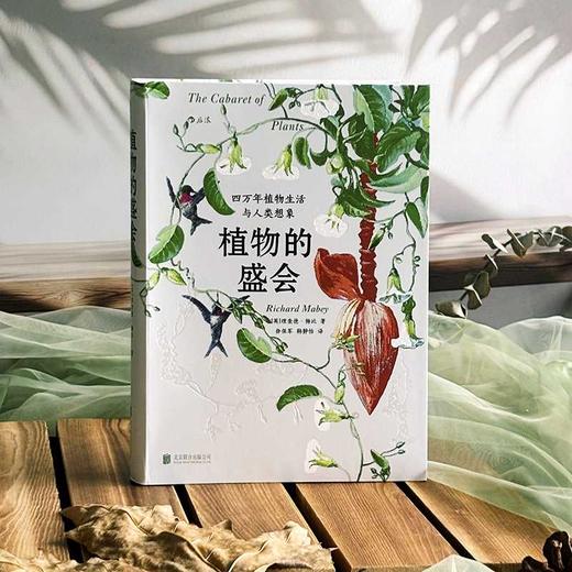 植物的盛会:四万年植物生活与人类想象 商品图2