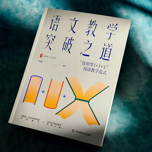 语文教学突破之道:语用型1 1 X阅读教学范式 商品图2