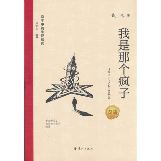 我是那个疯子 商品图0