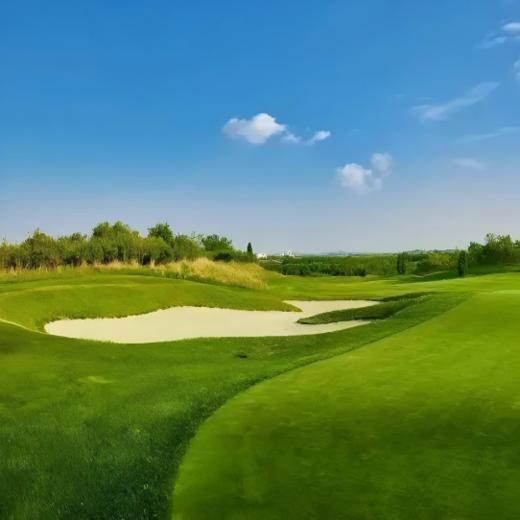 山东烟台·蓬莱君顶酒庄高尔夫俱乐部 Shandong Penglai Junding Winery Golf Club | 烟台高尔夫球场 |  山东高尔夫球场 | 中国 商品图4
