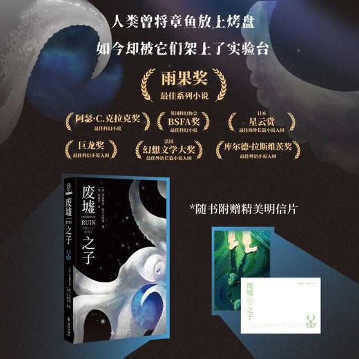 废墟之子 商品图0