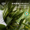 有机乌龙·漳州河·漳平水仙 | 进阶原叶系列 | 50g原叶 | 乌龙茶类 商品缩略图2