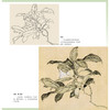 居巢.居廉花鸟鱼虫画谱 商品缩略图1