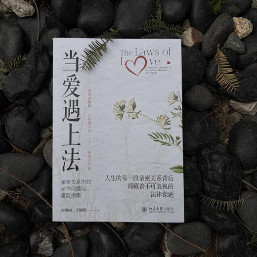 当爱遇上法:亲密关系中的法律问题与避险指南 商品图2