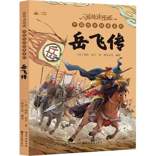 岳飞传 商品图0
