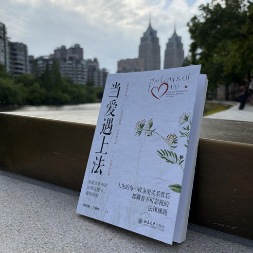 当爱遇上法:亲密关系中的法律问题与避险指南 商品图3