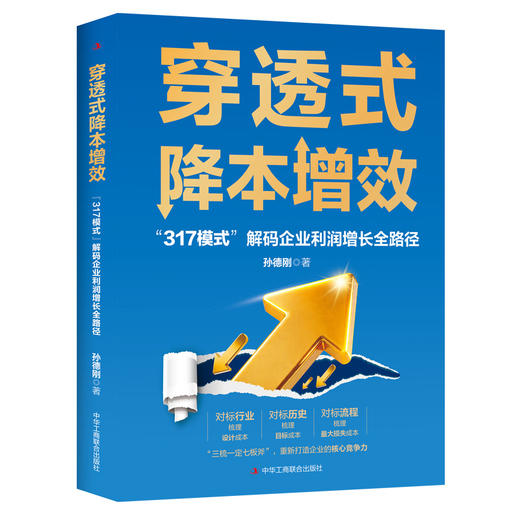 穿透式降本增效:317模式解码企业利润增长全路径 商品图1