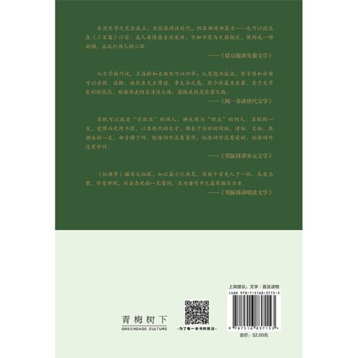 清华中国文学课 商品图1