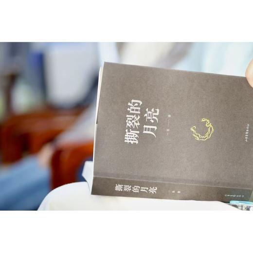 撕裂的月亮 商品图3