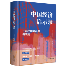 中国经济启示录