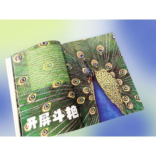 厉害了,动物们.繁衍 商品图3