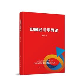 中国经济学导论