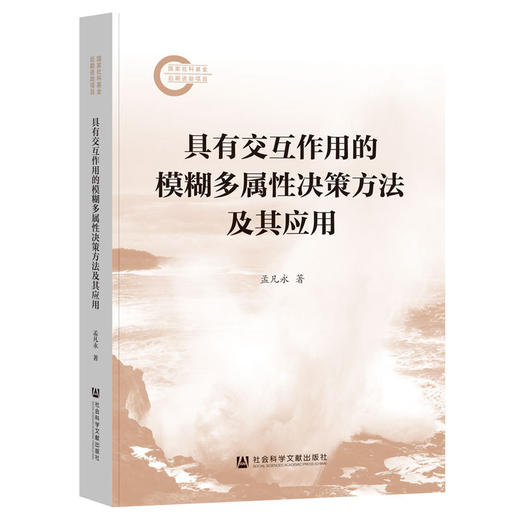 具有交互作用的模糊多属性决策方法及其应用 商品图0
