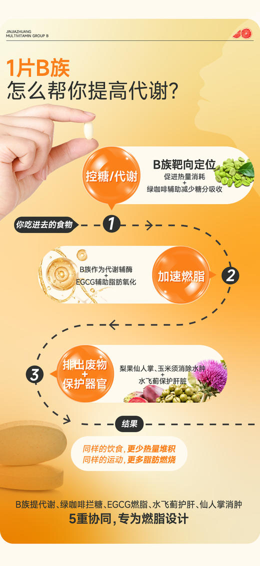 多种维生素B族片(运动营养食品耐力类)-血橙味-积分兑换 商品图3