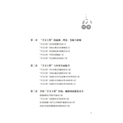 千万工程规划与实施:乡村振兴产业发展实践 商品图3