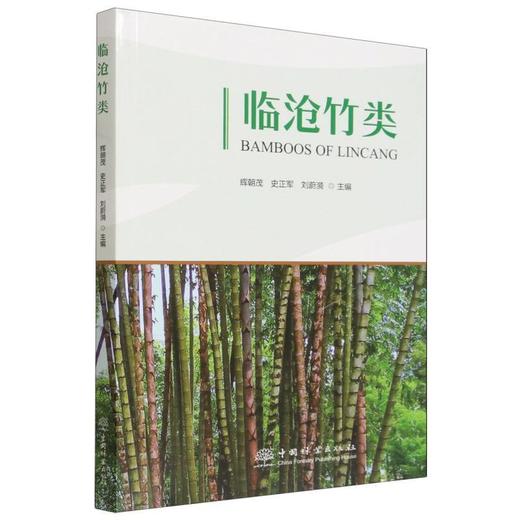临沧竹类 商品图0