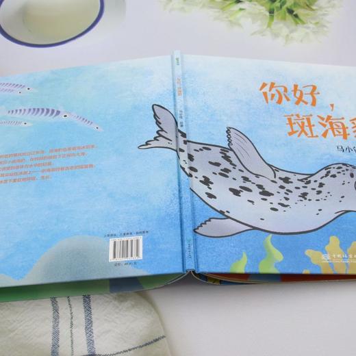 你好,斑海豹 商品图3