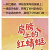 肩膀上的红蜻蜓 商品缩略图1