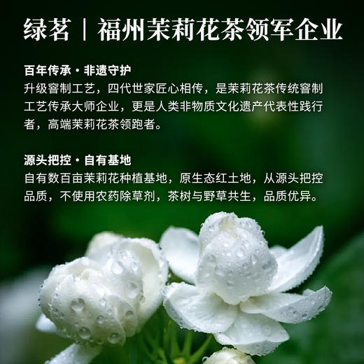 【绿茗】茉莉香美人100g 商品图1