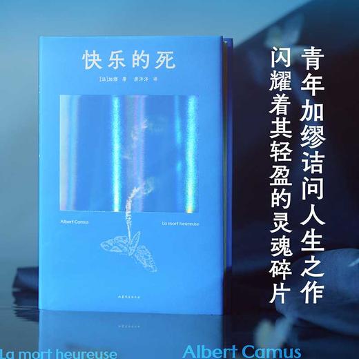 快乐的死 商品图2
