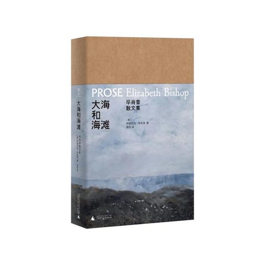 大海和海滩:毕肖普散文集 商品图1