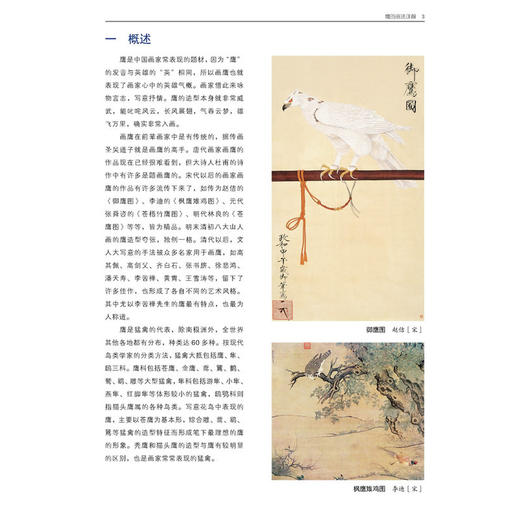 鹰的画法详解 商品图1