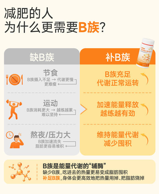 多种维生素B族片(运动营养食品耐力类)-血橙味-积分兑换 商品图2