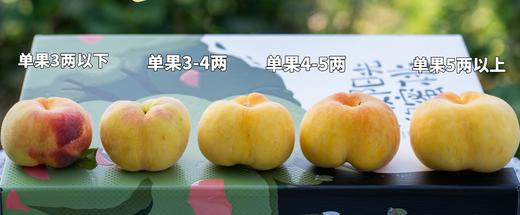 【预售】【果期超短❗️❗️】极客水蜜桃（早霞水蜜桃/毛蟠桃） | 软硬两吃，软后爆汁，桃香十足，到货后先挑软的吃，轻微磕碰，氧化变色不影响食用，成熟度高，会出现糖化现象，介意慎拍⭐️顺丰空运 商品图14