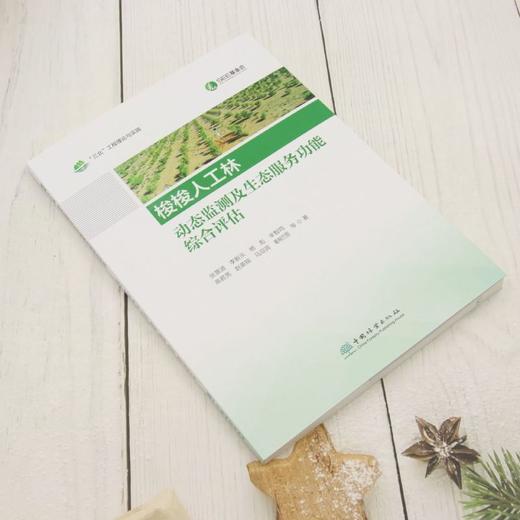 梭梭人工林动态监测及生态服务功能综合评估 商品图1