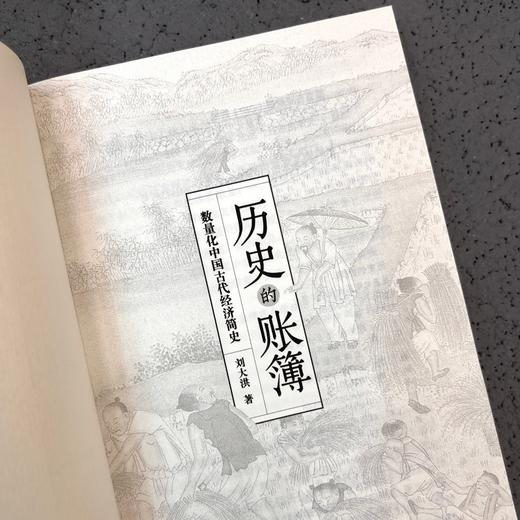 历史的账簿:数量化中国古代经济简史 商品图3