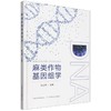 麻类作物基因组学 商品缩略图0