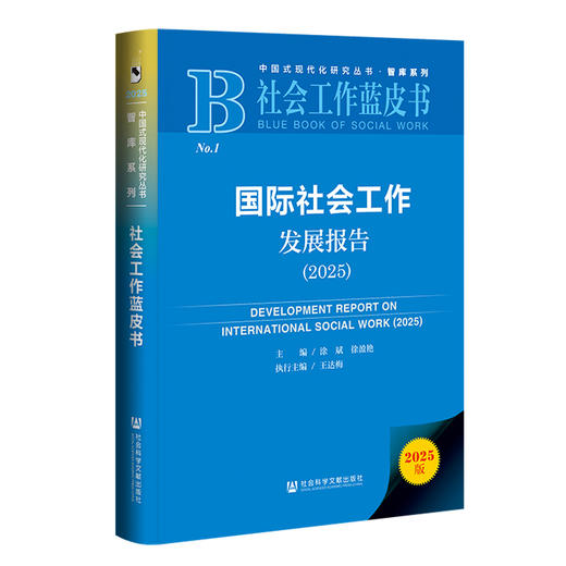 国际社会工作发展报告.2025(2025版) 商品图0
